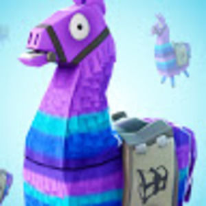 Meet your Posher, Kari